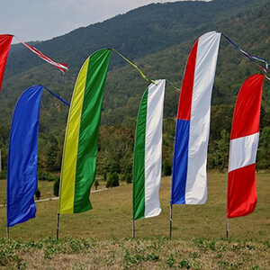 feather banner flags