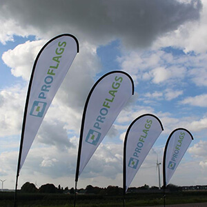 windy flags